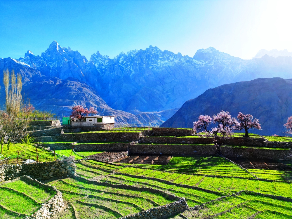 Springtime in Skardu